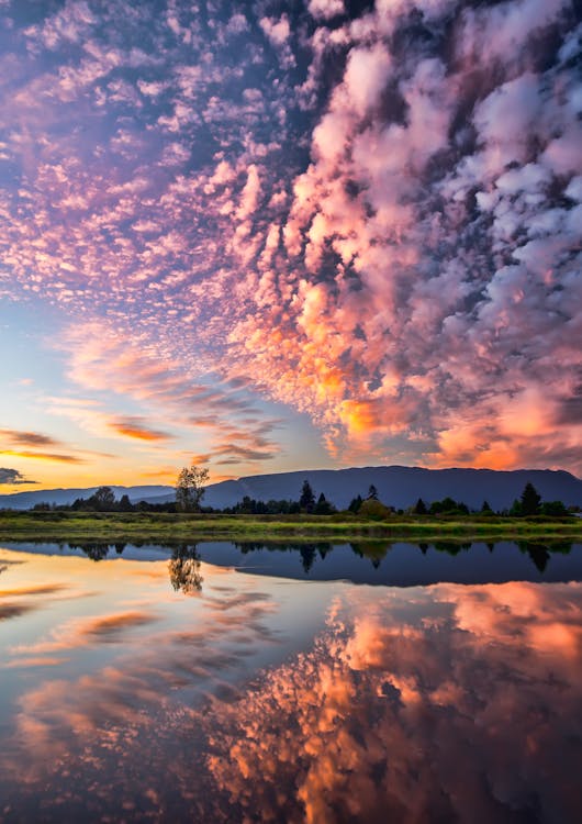 sunriver spring wildflowers — Sunriver, Oregon