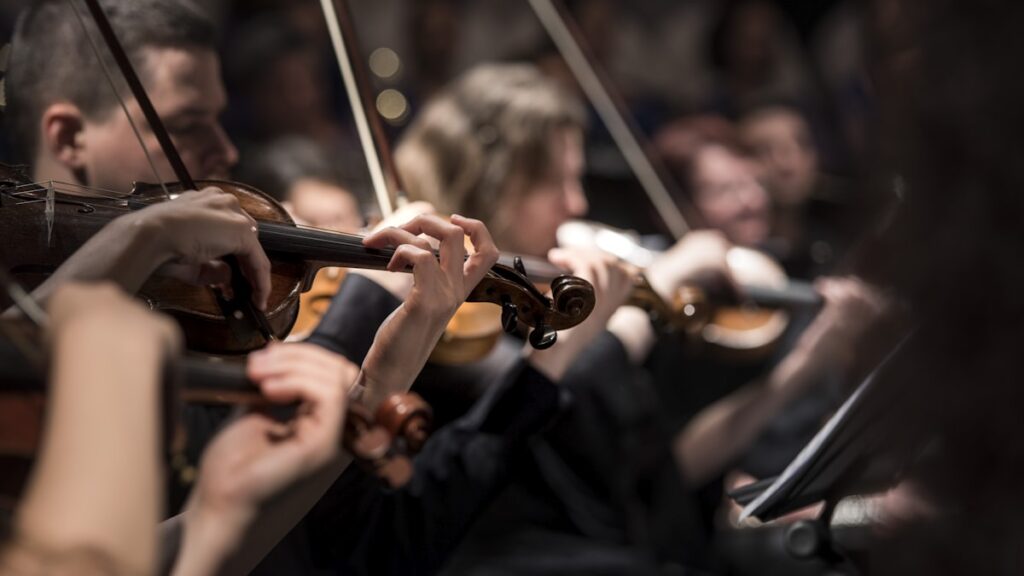 Violin section of a symphony orchestra performing, like the Sunriver Music Festival orchestra in the Great Hall